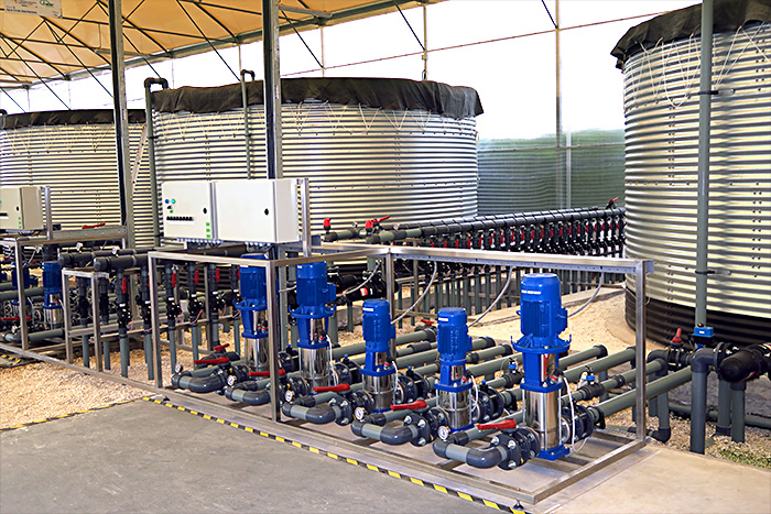 INVERNADERO PRODUCCIÓN DE SEMILLAS. Ministerio de agricultura, Ecuador