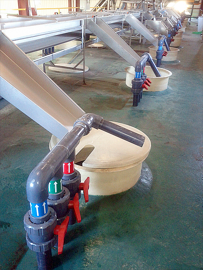 PLANTA DE TRATAMIENTO DE ACEITUNA. Santa Marta de los Barros, Badajoz