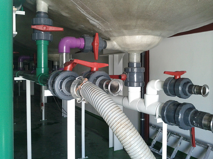 PLANTA DE TRATAMIENTO DE ACEITUNA. Santa Marta de los Barros, Badajoz